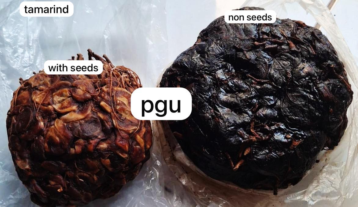 Tamarind Seed